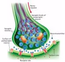 fe86e7 cffd982bd47e4642a6f97ad46275a3ac~mv2